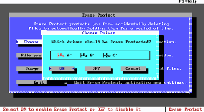 E.2.6.2.4.  Erase Protect.